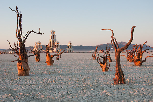 Life Uprooted at Burning Man - 2011