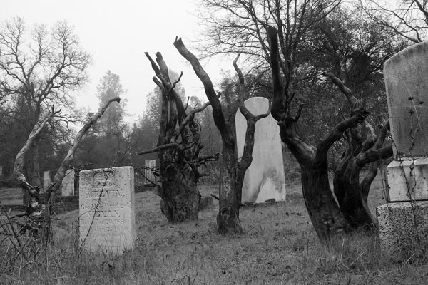 Cemetery, Old Shasta