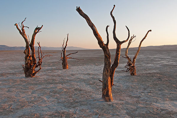 Dancing at dawn