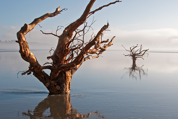 Moonstone Beach I