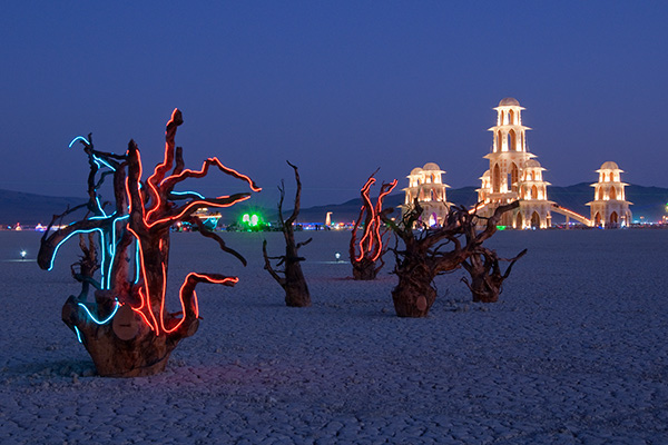 Roots illuminated