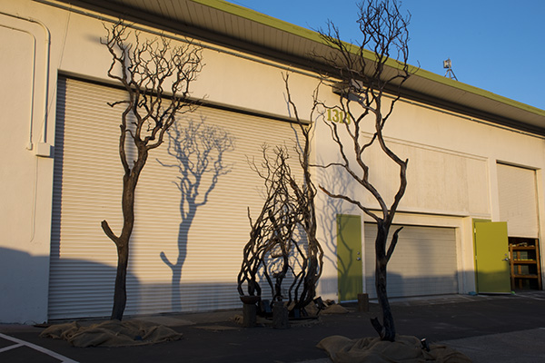 Lifecycle, Art from the ashes