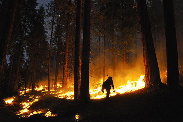 Prescribed burn - Stanislaus National Forest
